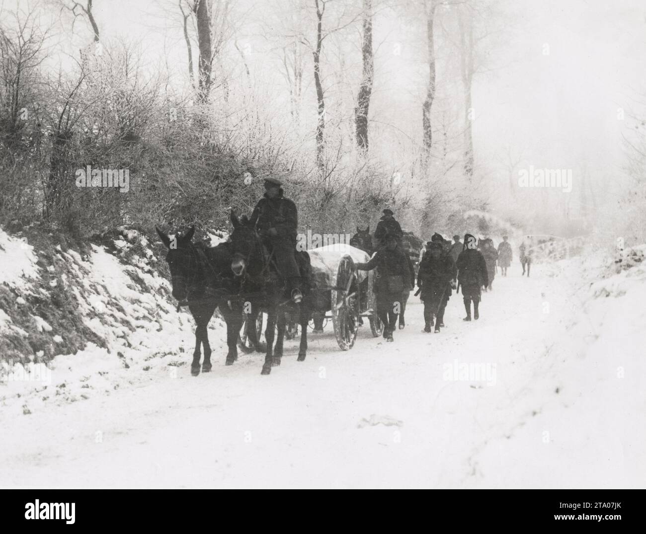 WW1 World War I - Troops with mules and cart in heavy snowfall, France Stock Photo