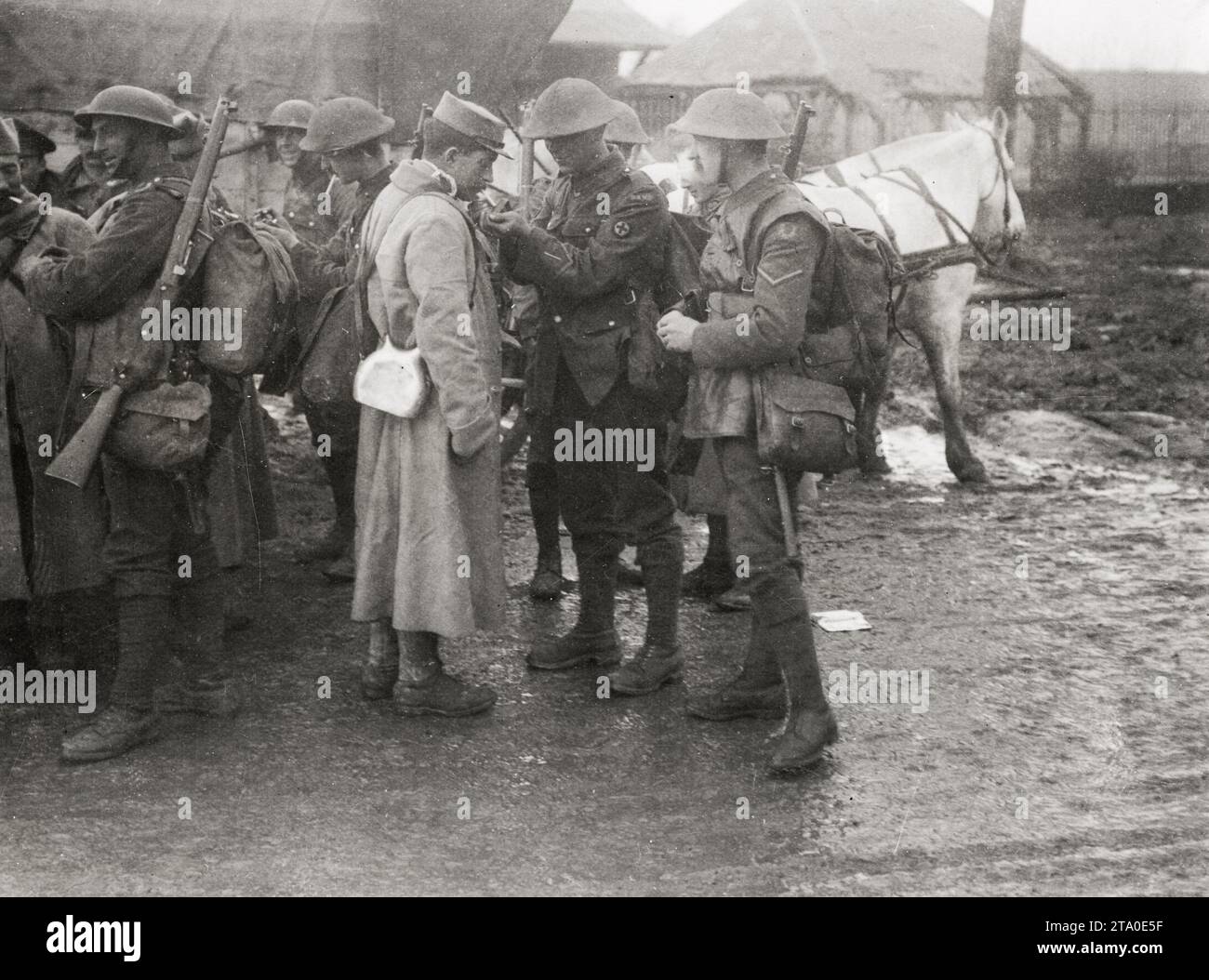 WW1 World War I - British and French soldiers talk together Stock Photo ...