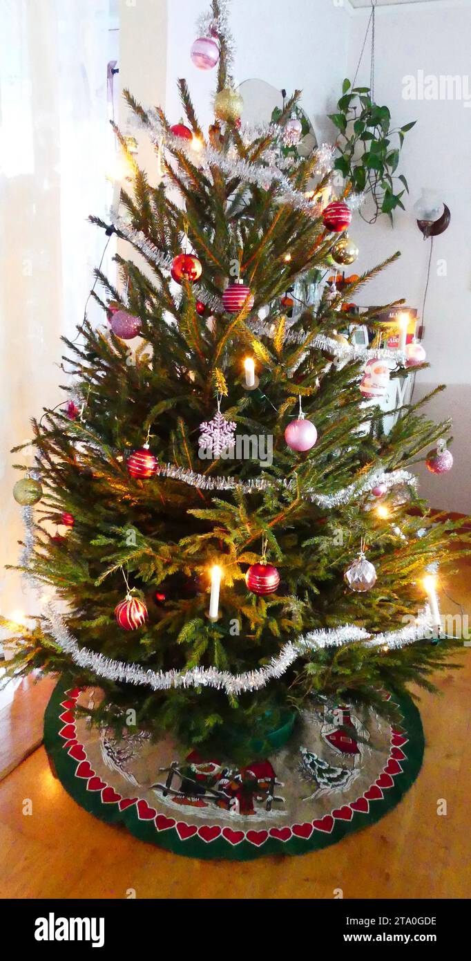 Dressed Christmas tree Stock Photo