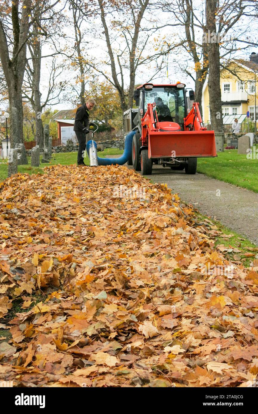 The cemetery is cleaned of fallen autumn leaves before winter Stock Photo