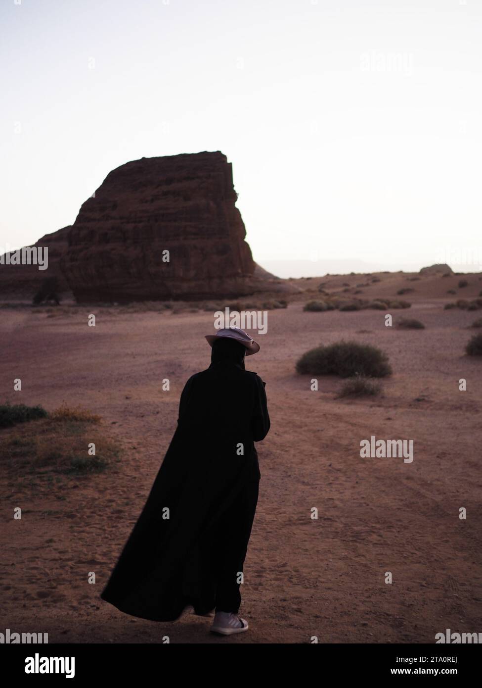 Alula inscriptions hi-res stock photography and images - Alamy