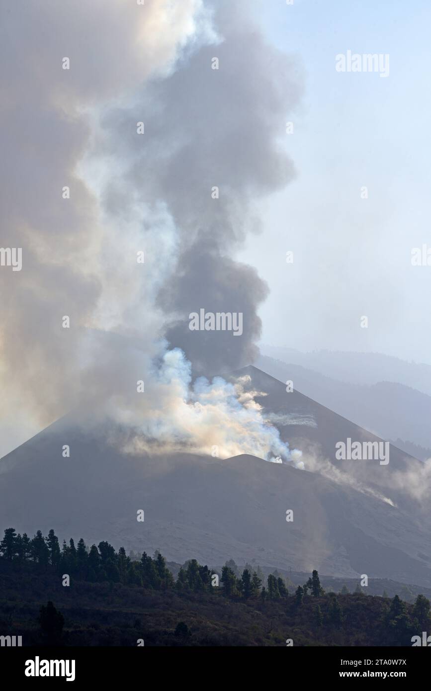 La Palma volcano eruption seen from the Tajuya viewpoint (11-15-2021). Stock Photo