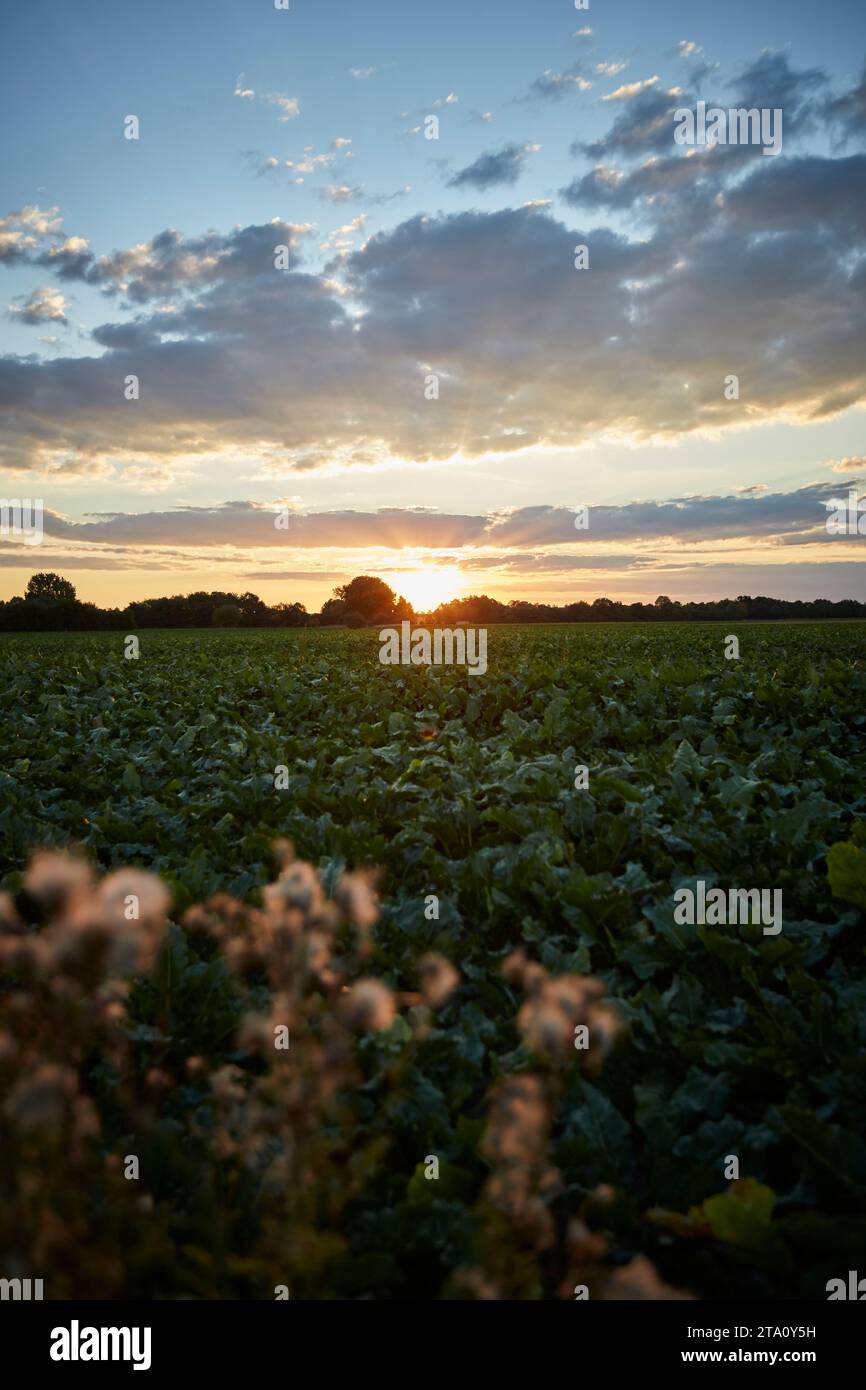 kreis soest, kreis soest in bildern, landkreis soest, nrw, deutschland