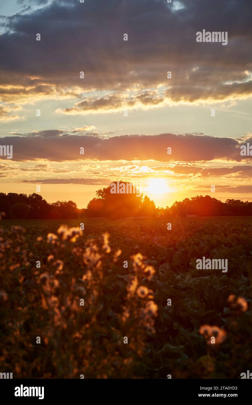 kreis soest, kreis soest in bildern, landkreis soest, nrw, deutschland