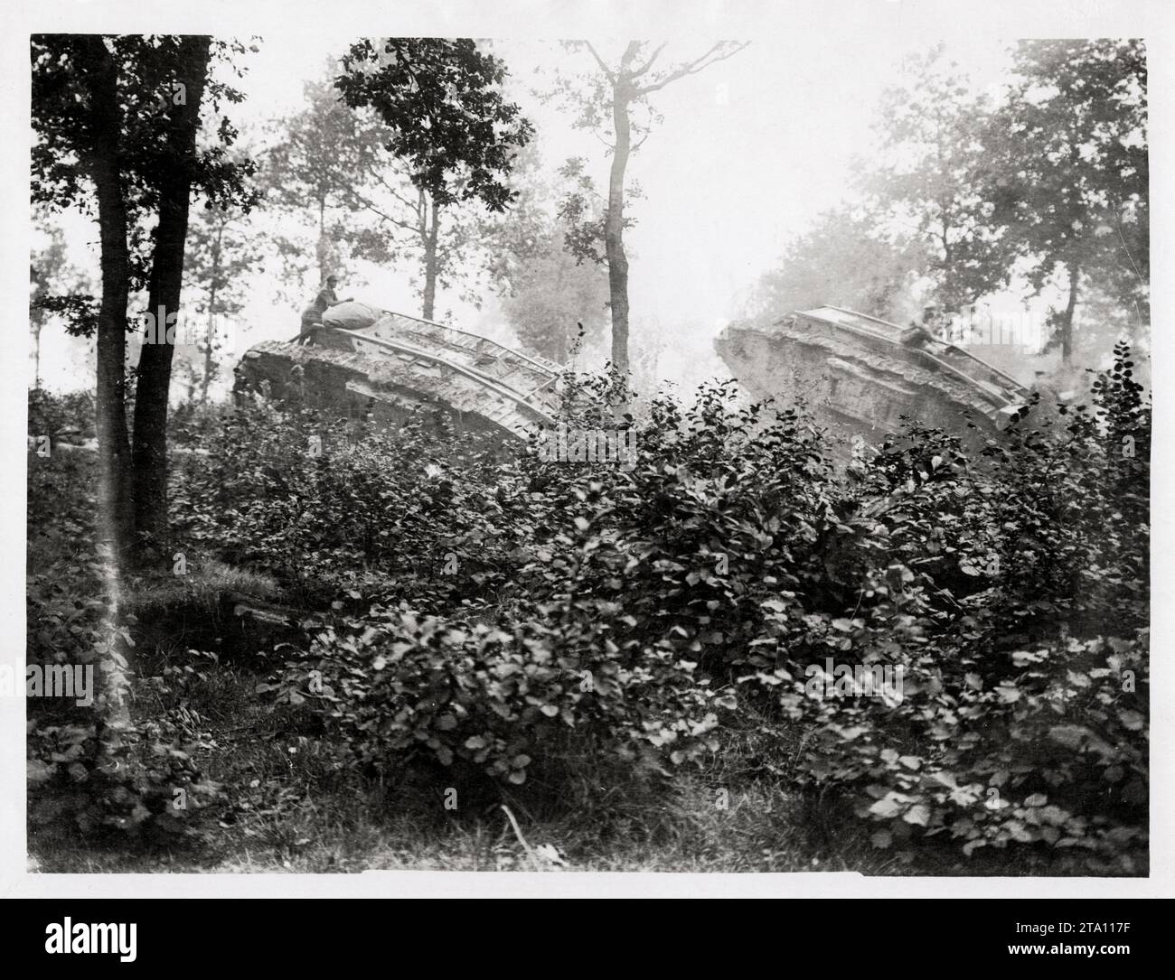 WW1 World War I - Two tanks in a wood Stock Photo