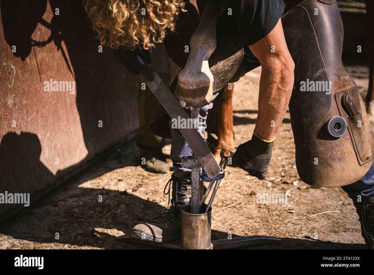 The farrier is preparing the hoof for horseshoeing. He removes, rasps
