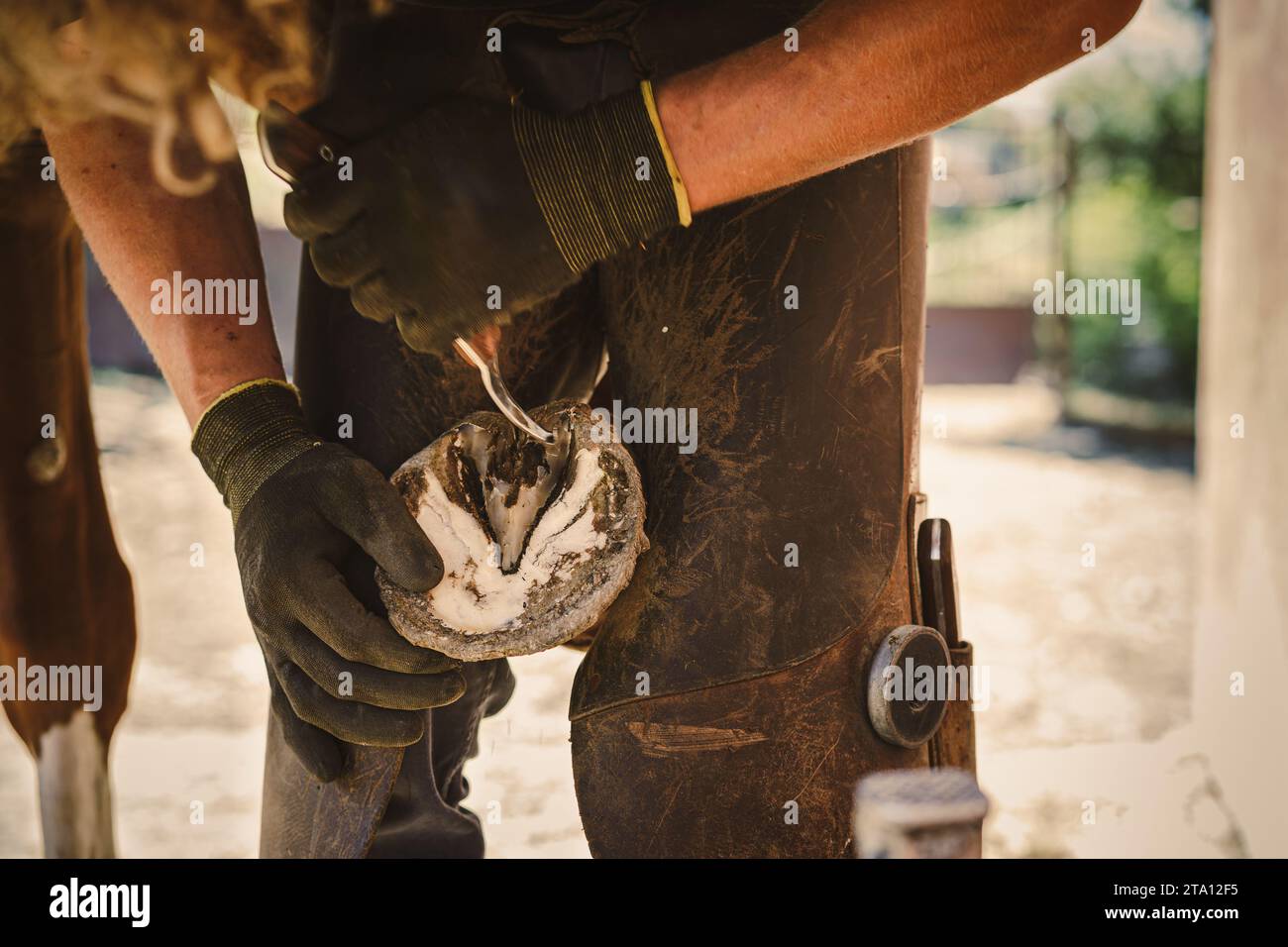 Hoof knife hires stock photography and images Alamy