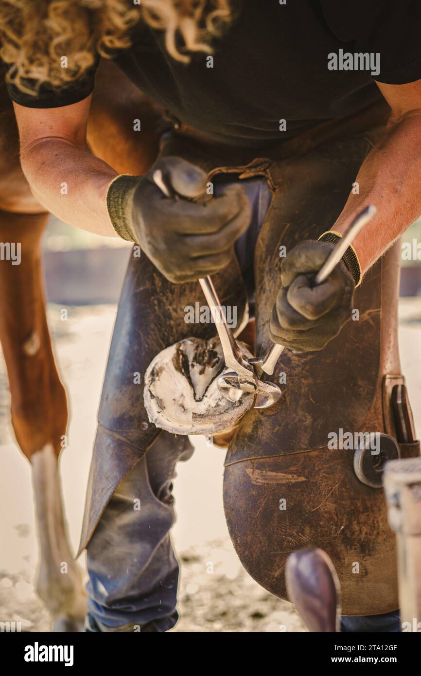 Farrier equipments hires stock photography and images Alamy