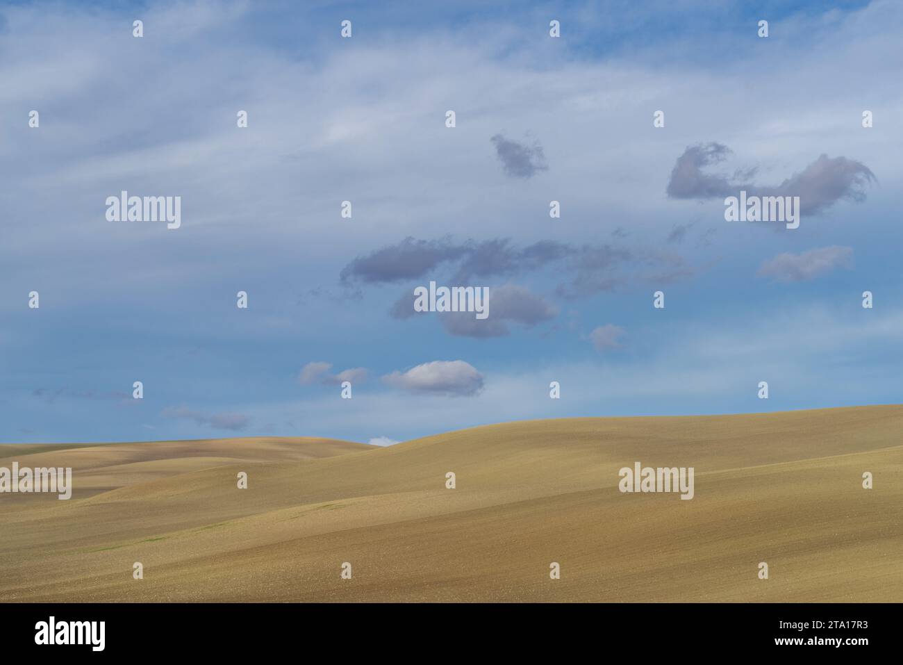 Rural landscape in Basilicata region, Southern Italy Stock Photo