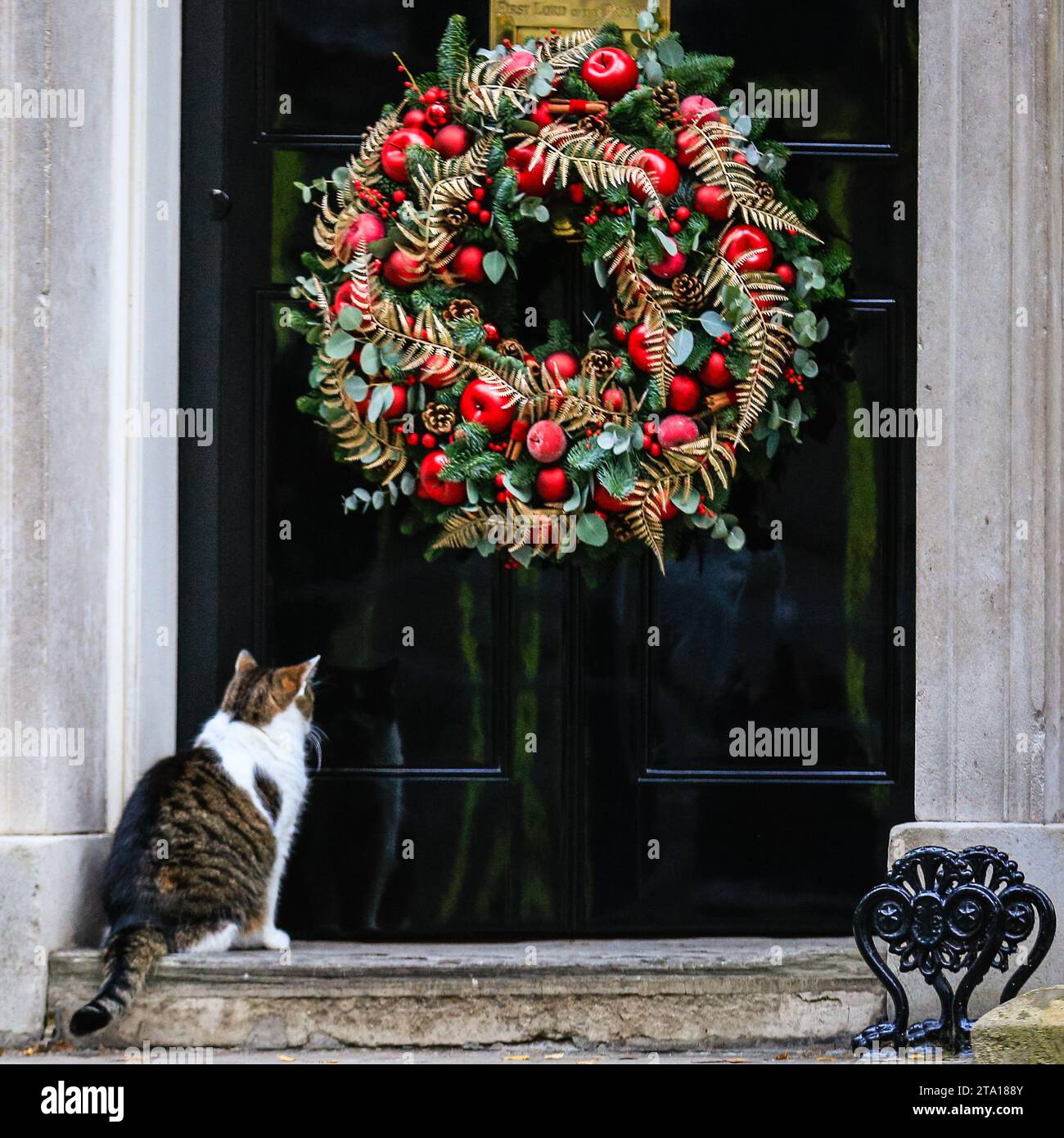 Larry christmas