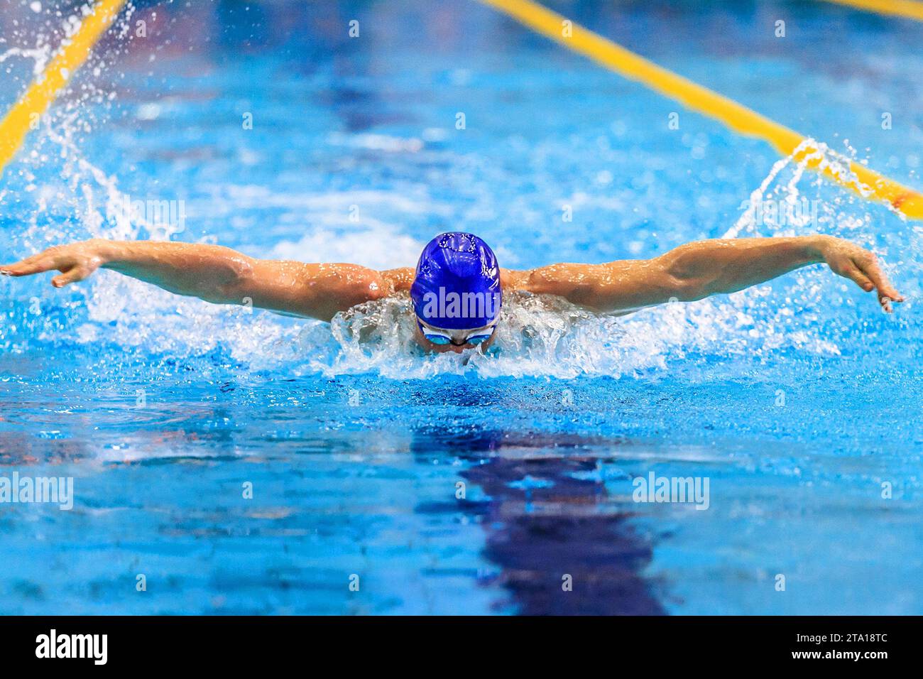 male swimmer swim butterfly stroke competition race, summer sports games Stock Photo