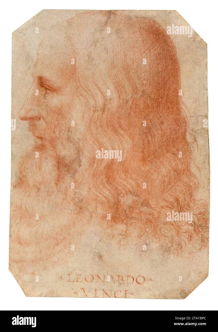 Francesco Melzi - Portrait of Leonardo da Vinci, c 1515-1517 Stock Photo