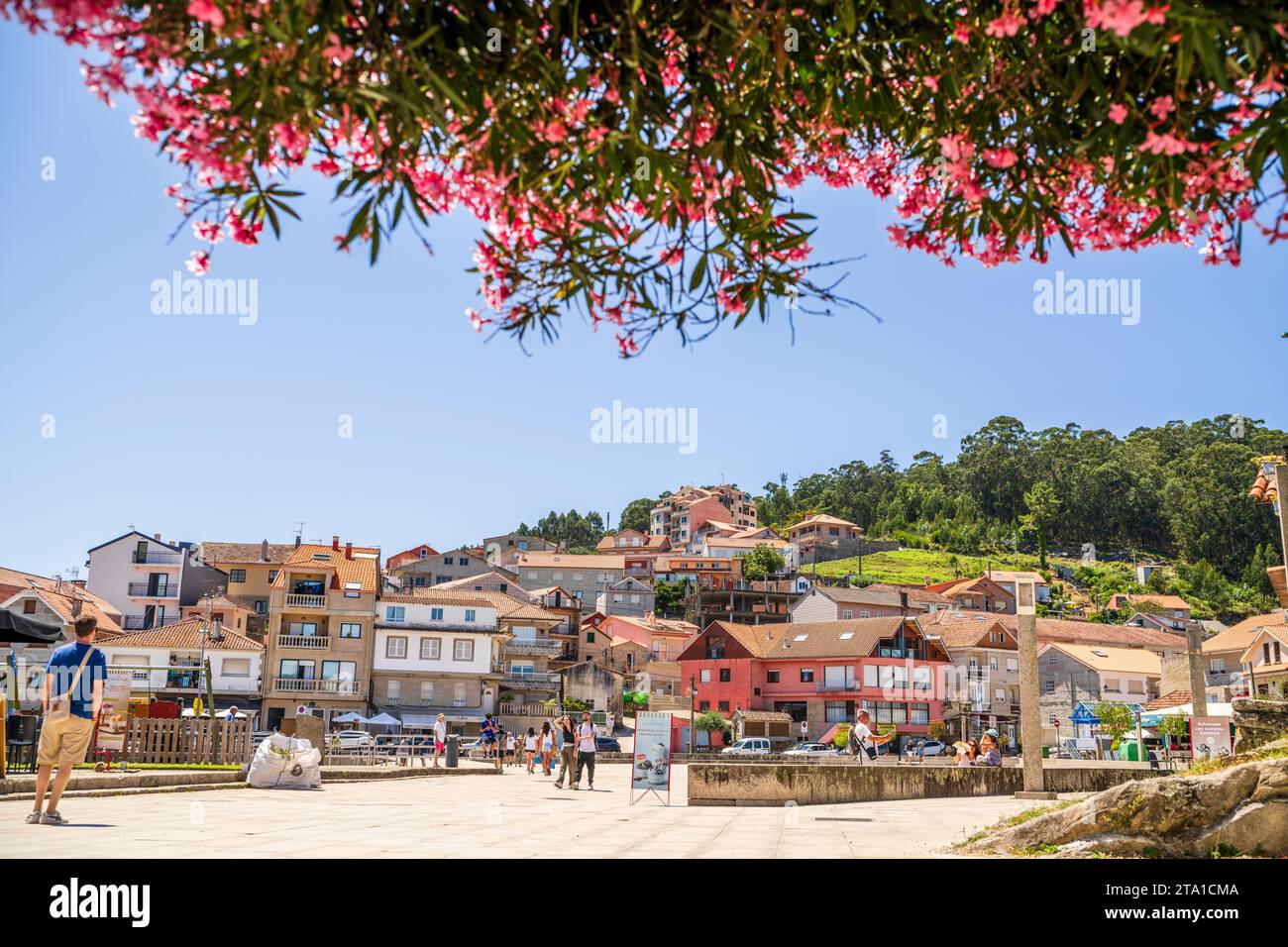 Combarro, Galicia / Spain - July 26 2023, Beautiful old village with pink oleanders flowers Stock Photo