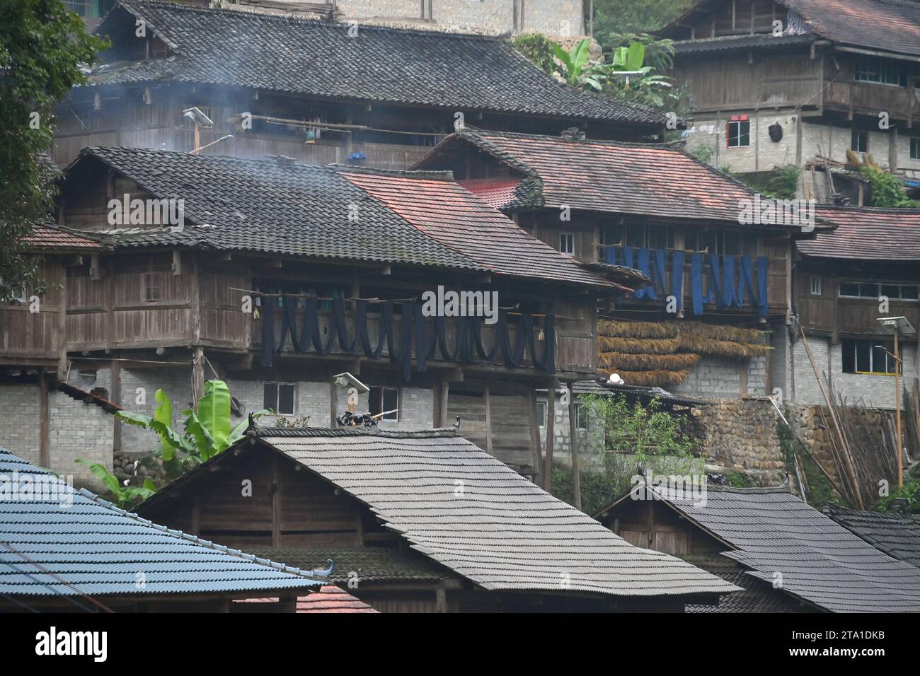 (231128) -- RONGSHUI, Nov. 28, 2023 (Xinhua) -- Pieces of 'Liang Bu', a kind of traditional hand-made cloth of Miao ethnic group, are dried outside the windows of stilt buildings in Wuying Village on the border between south China's Guangxi Zhuang Autonomous Region and southwest China's Guizhou Province, on Oct. 10, 2023. Wuying Village is a Miao ethnic group hamlet that nestles snugly in the towering mountains stretching across the border between Guangxi and Guizhou. Most villagers are still living in traditional wood stilt buildings. (Xinhua/Huang Xiaobang) Stock Photo