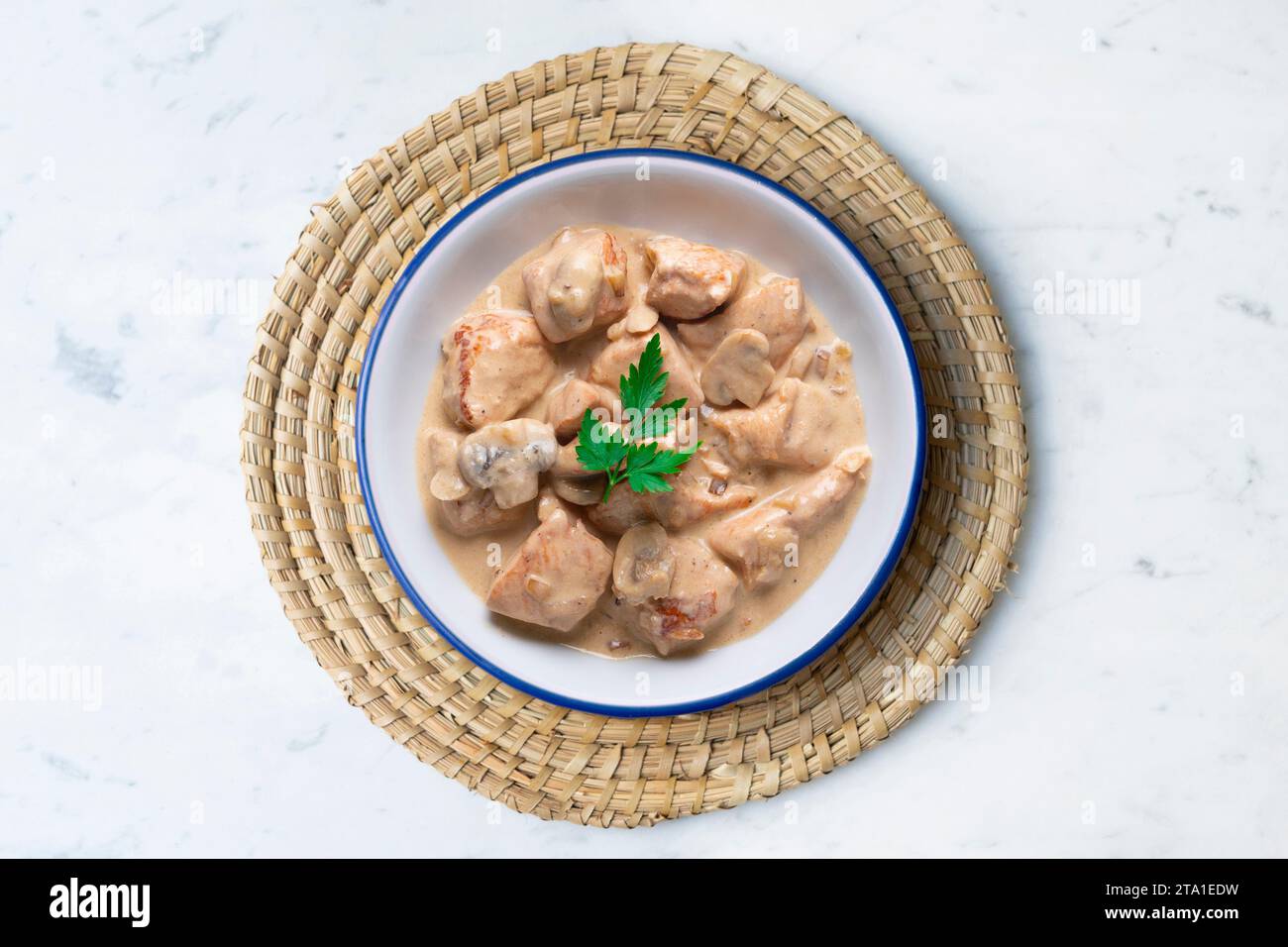 Meat with strogonoff sauce. Traditional Russian recipe. Stock Photo