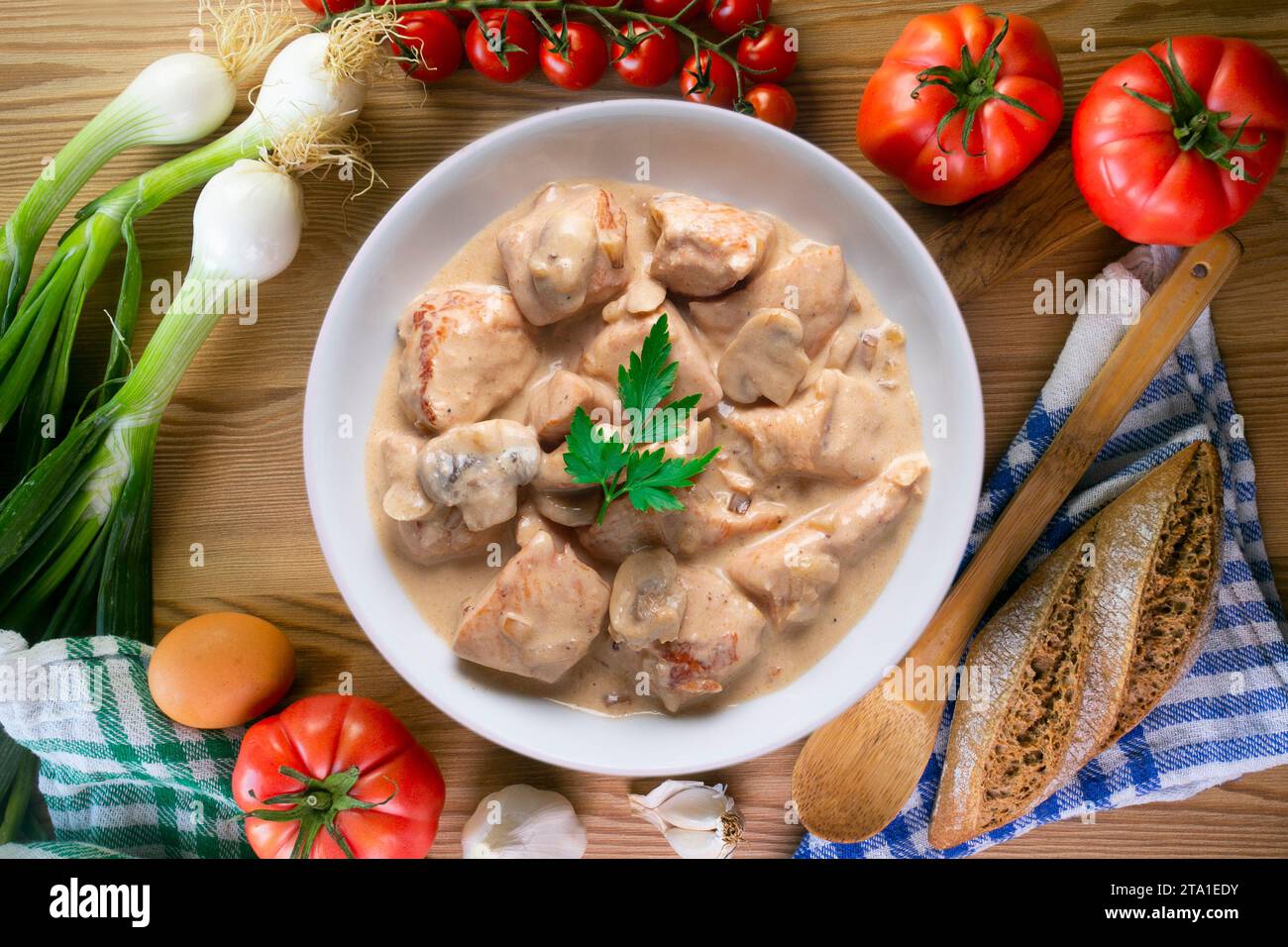 Meat with strogonoff sauce. Traditional Russian recipe. Stock Photo