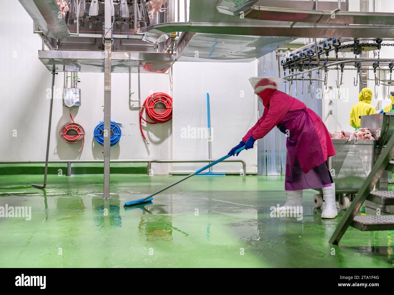 Hygiene officer cleaner in protective uniform cleaning floor of food processing plant. Cleaning services. Stock Photo