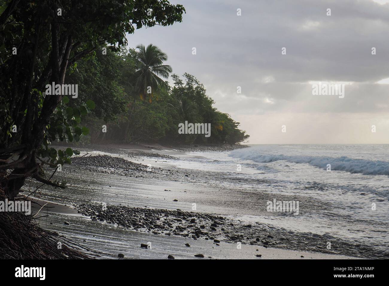 Anse couleuvre, Nord de la Martinique, plages les plus sauvages de l'île. Sable noir volcanique et nature exubérante Martinique, Antilles Stock Photo