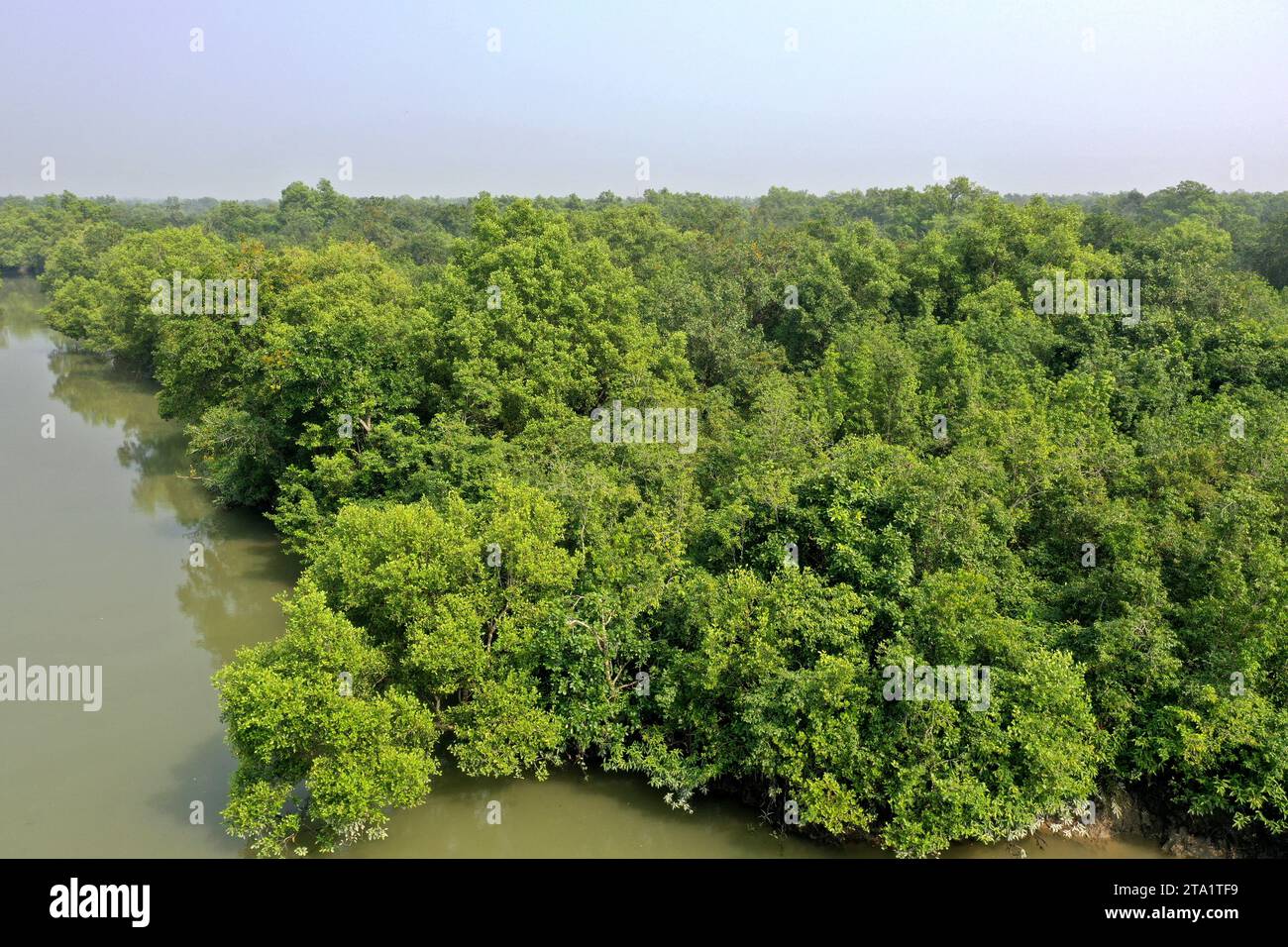 Khulna, Bangladesh - November 24, 2023: Aerial view of the Sundarban Mangrove forest, a UNESCO World Heritage Site and a wildlife sanctuary at Koyra i Stock Photo
