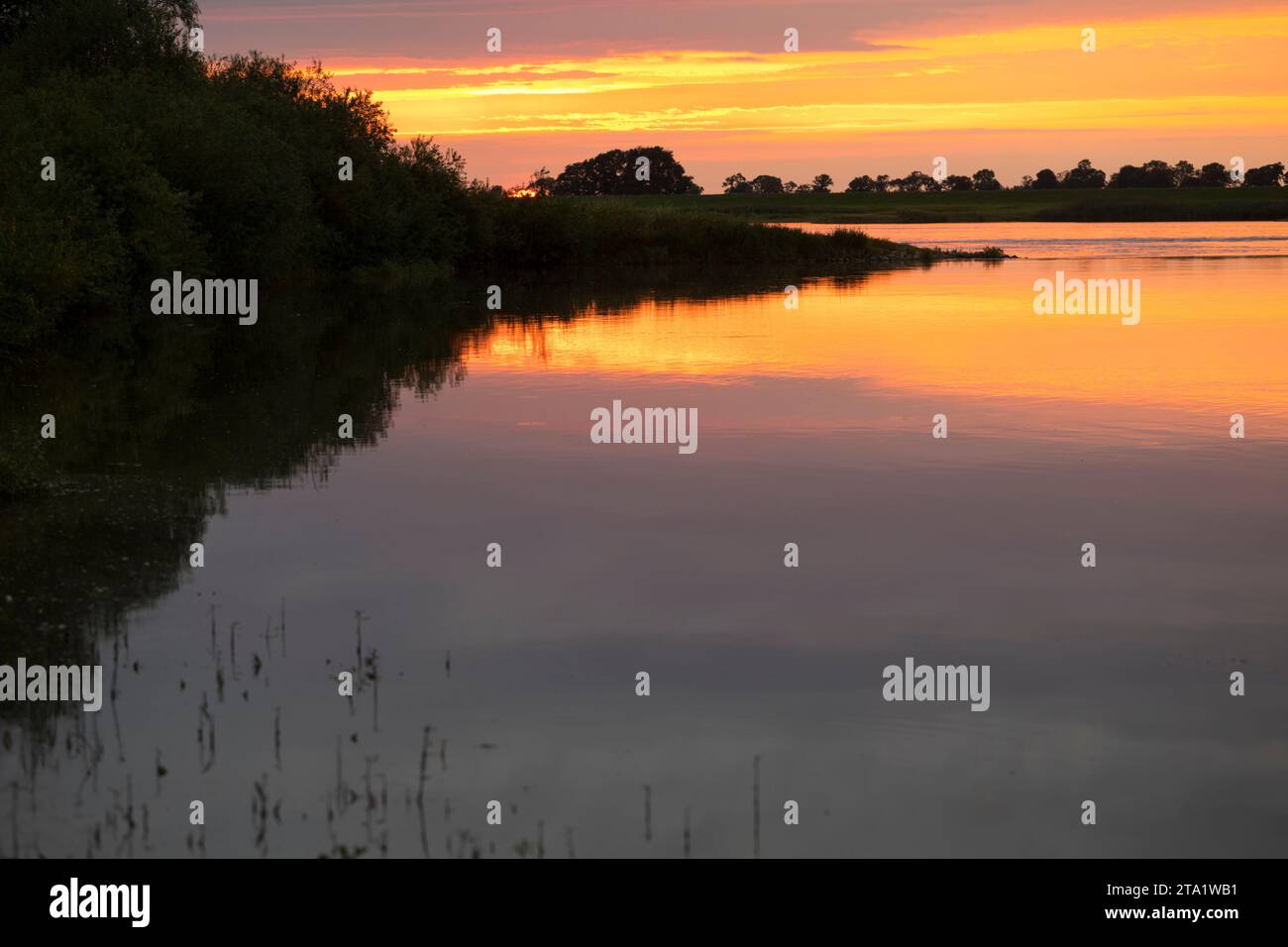 Abendstimmung an der Elbe, Sonnenuntergang Stock Photo