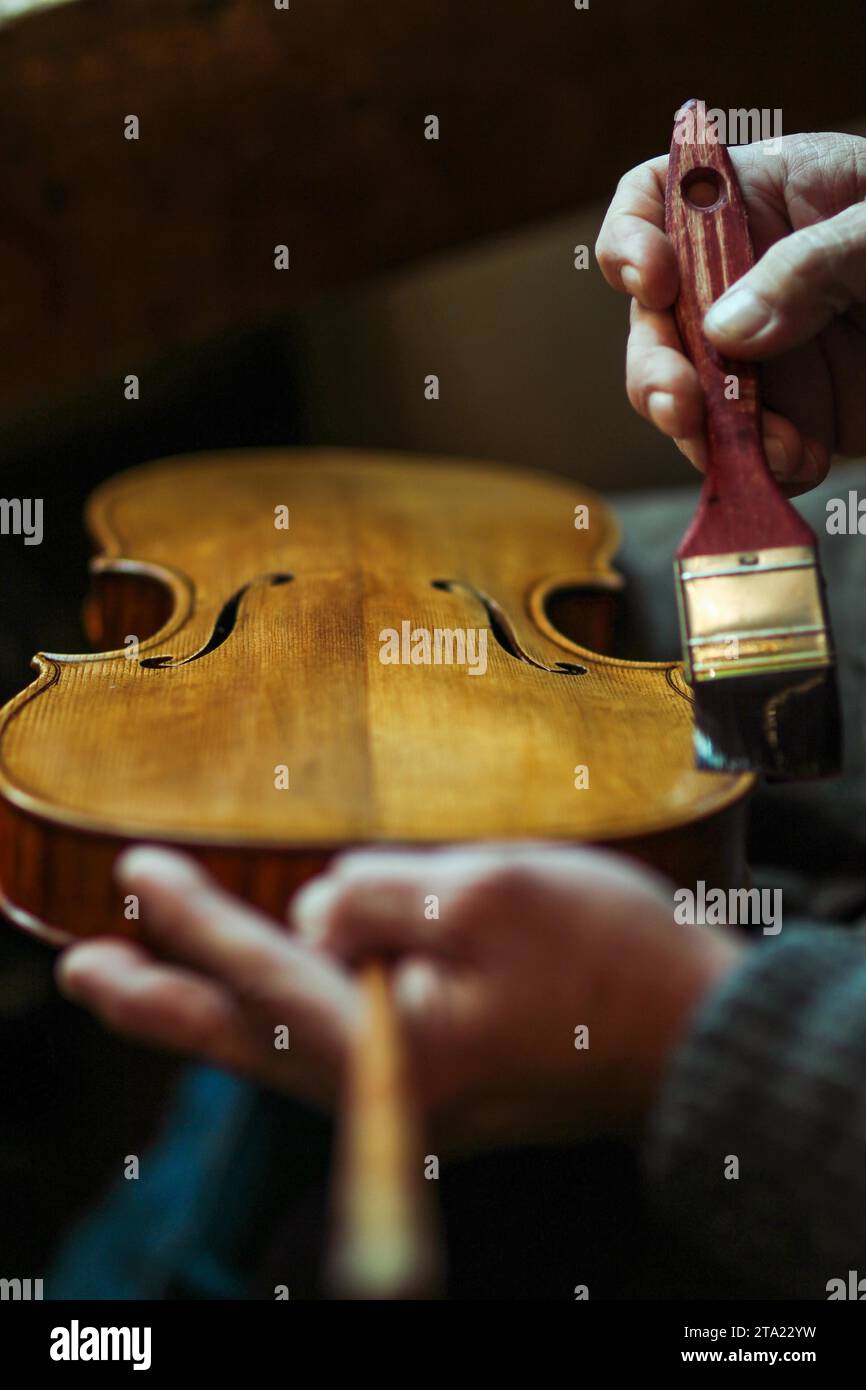 Senior expert violin maker luthier, wrinkled old hand varnish with