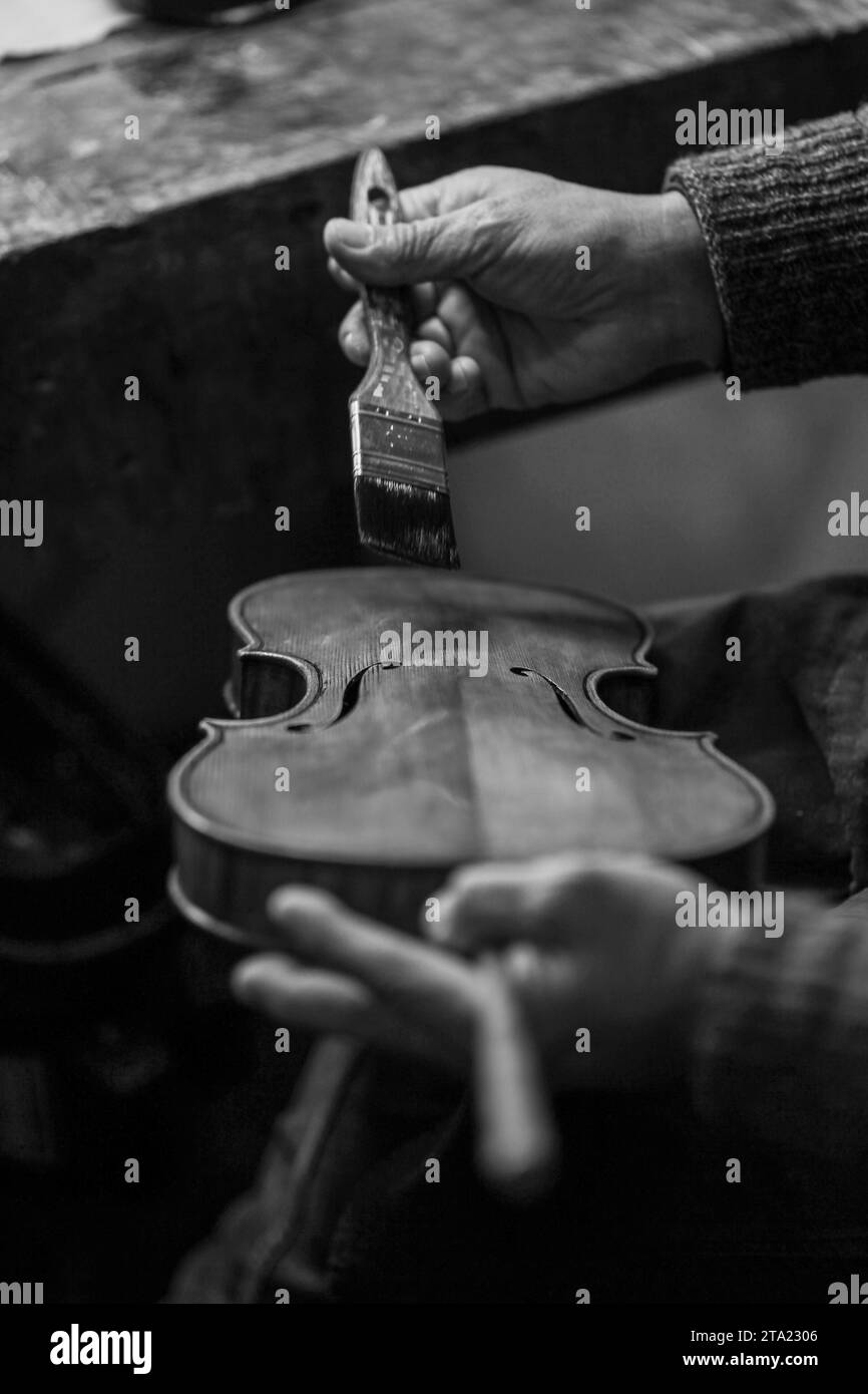 Senior expert violin maker luthier, wrinkled old hand varnish with