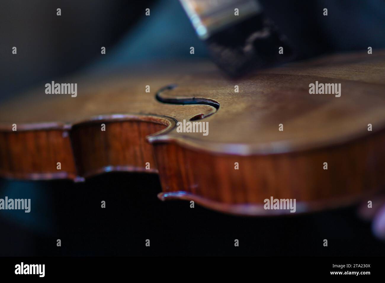 Senior expert violin maker luthier, wrinkled old hand varnish with