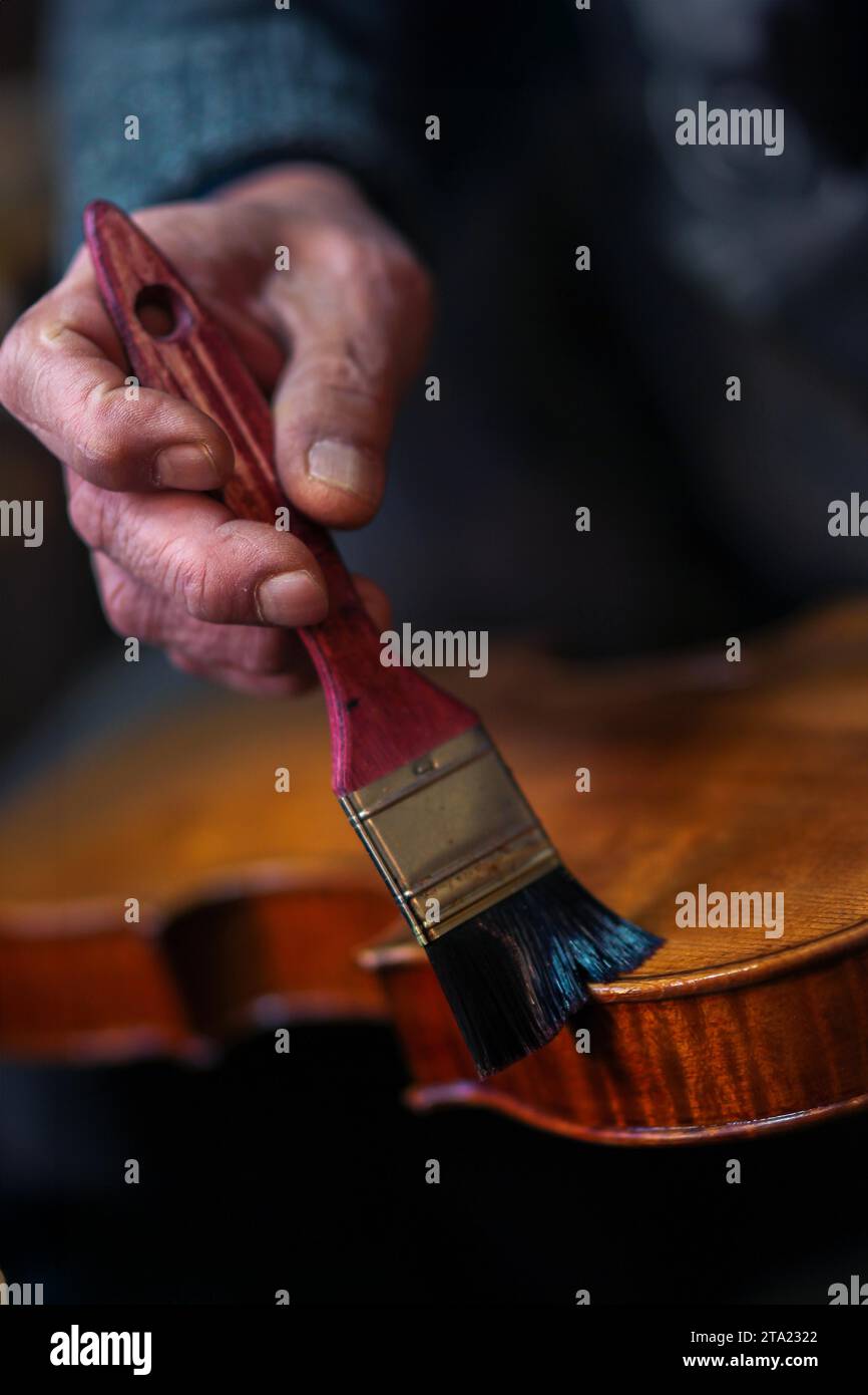 Senior expert violin maker luthier, wrinkled old hand varnish with