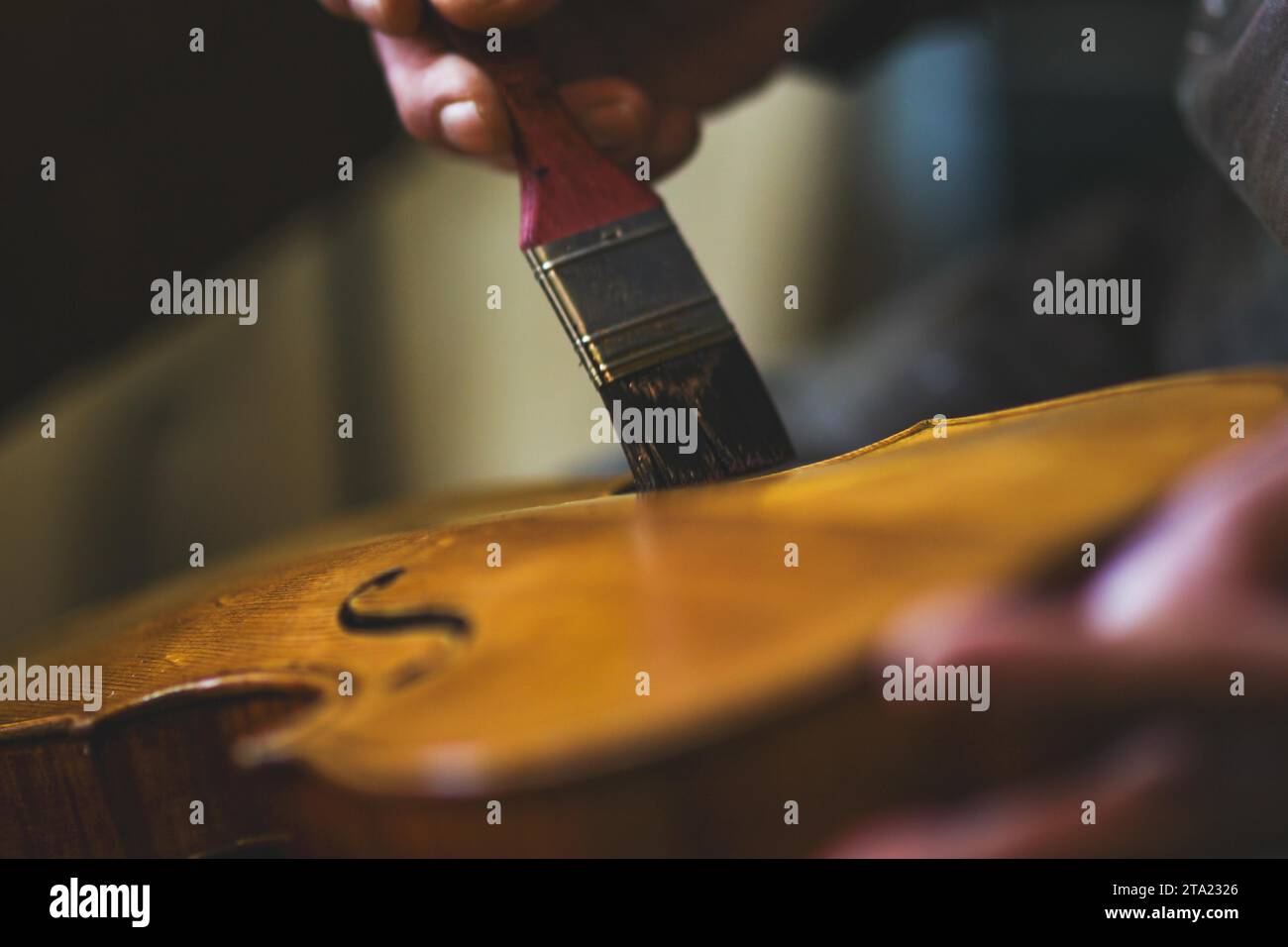 Senior expert violin maker luthier varnish with brush classic handmade