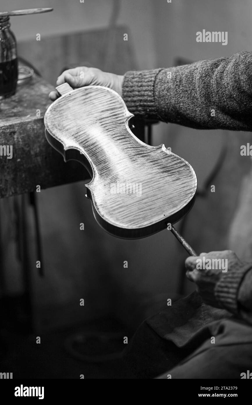 Senior expert violin maker luthier, wrinkled old hand hold check
