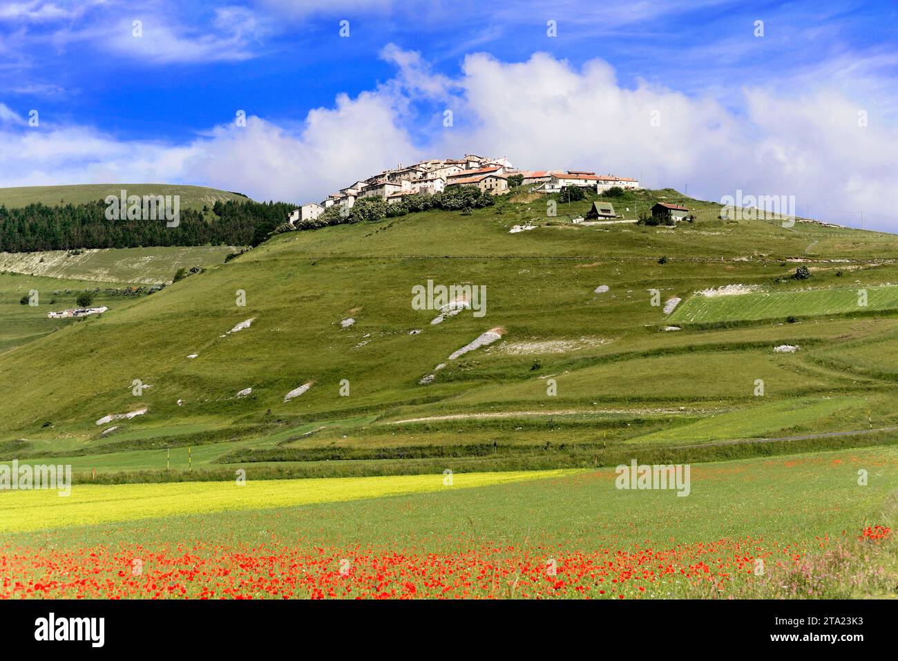Castelluccio In The Sibillini Mountains During Wildflower Season Piano 