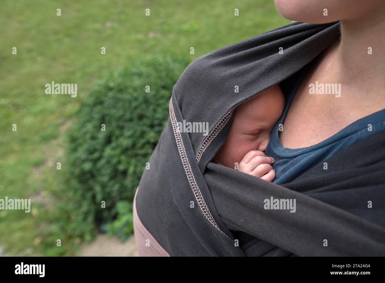 Baby in mother's sling, Mecklenburg-Western Pomerania, Germany Stock Photo