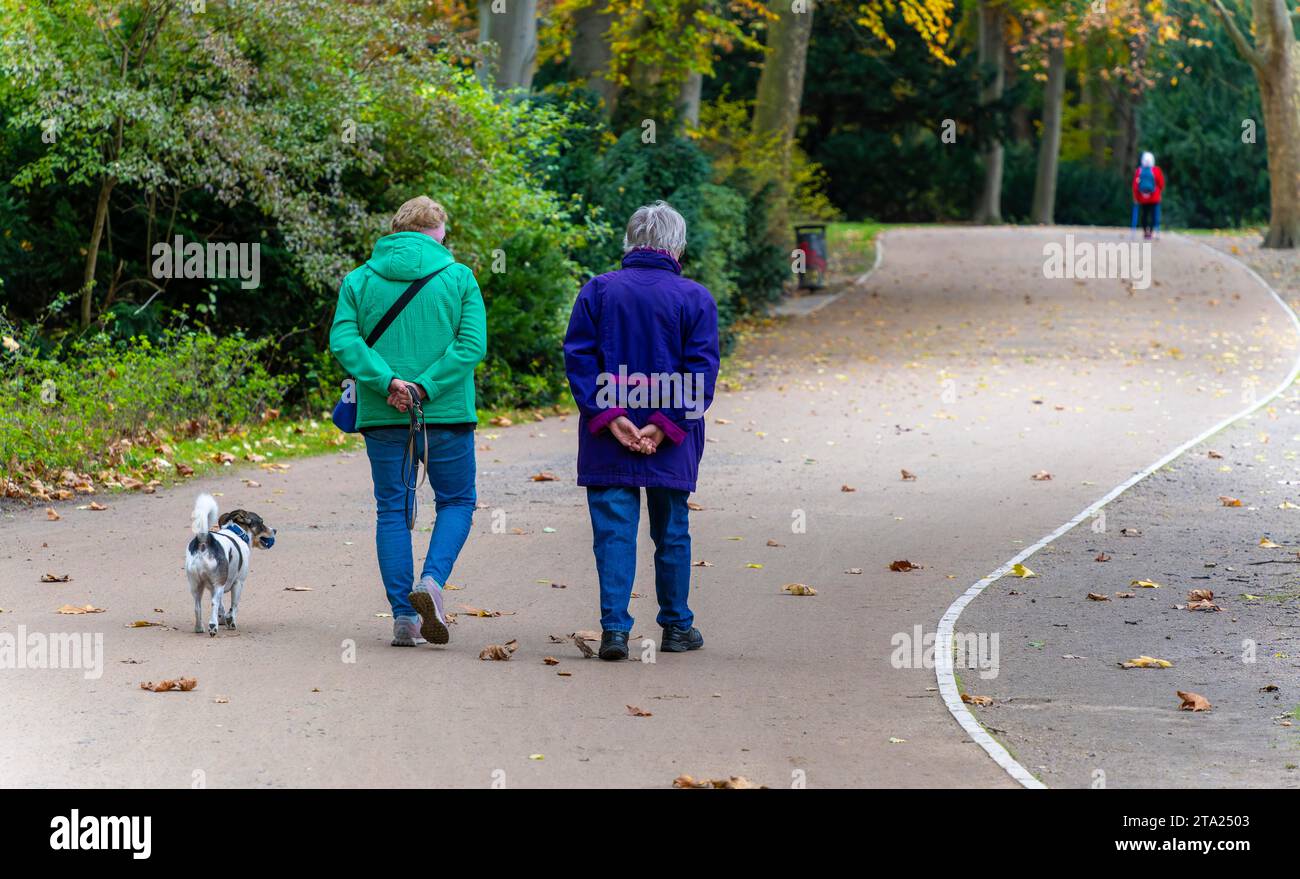 Walker with dog in the Grosser Tiergarten, Berlin, Germany Stock Photo