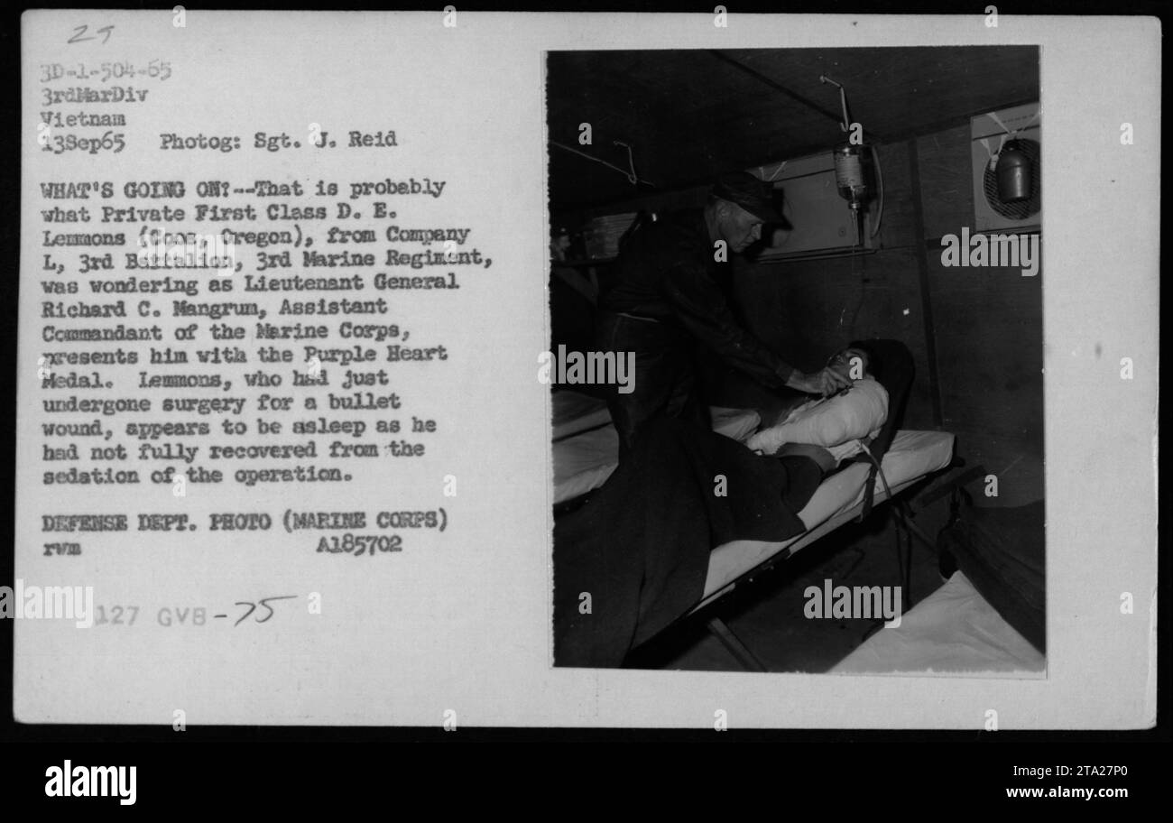 Private First Class D. E. Lemmons of Coos, Oregon from Company L, 3rd Battalion, 3rd Marine Regiment was presented with the Purple Heart Medal by Lieutenant General Richard C. Mangrun, Assistant Commandant of the Marine Corps, on September 13, 1965. Lemmons had recently undergone surgery for a bullet wound and appears to be asleep in the photo. Stock Photo