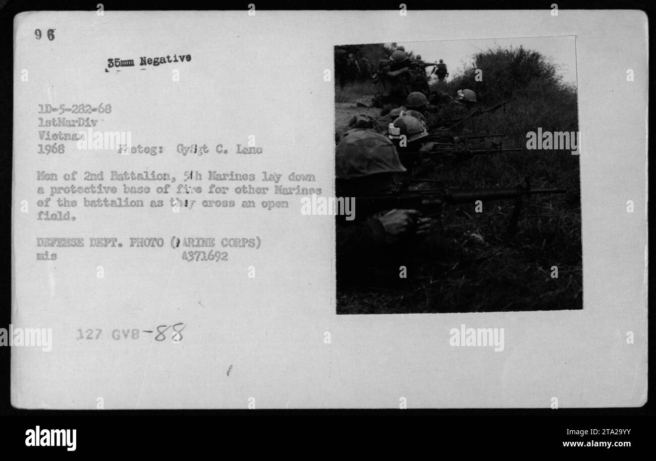 Marine Corps troops from the 2nd Battalion, 5th Marines provide cover