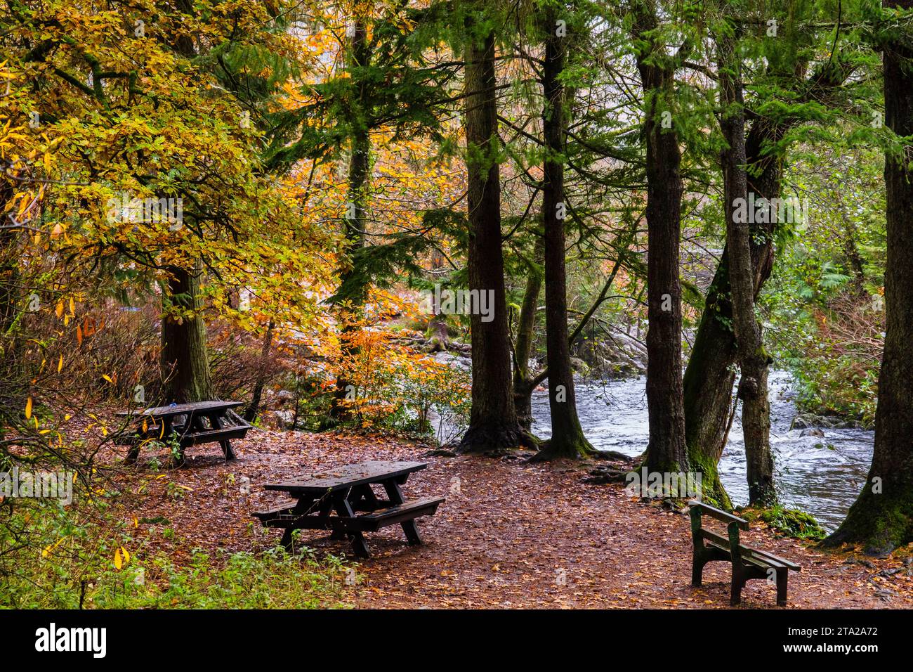 Bench and picnic tables on Coed Tan Dinas walk in the woods beside the Afon Llugwy river in autumn. Betws-y-Coed, Conwy, Wales, UK, Britain Stock Photo