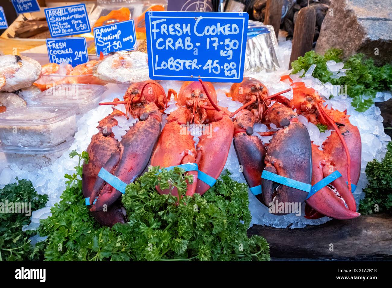 Fresh cooked Lobsters for sale on a market stall. The lobsters are priced and displayed amongst