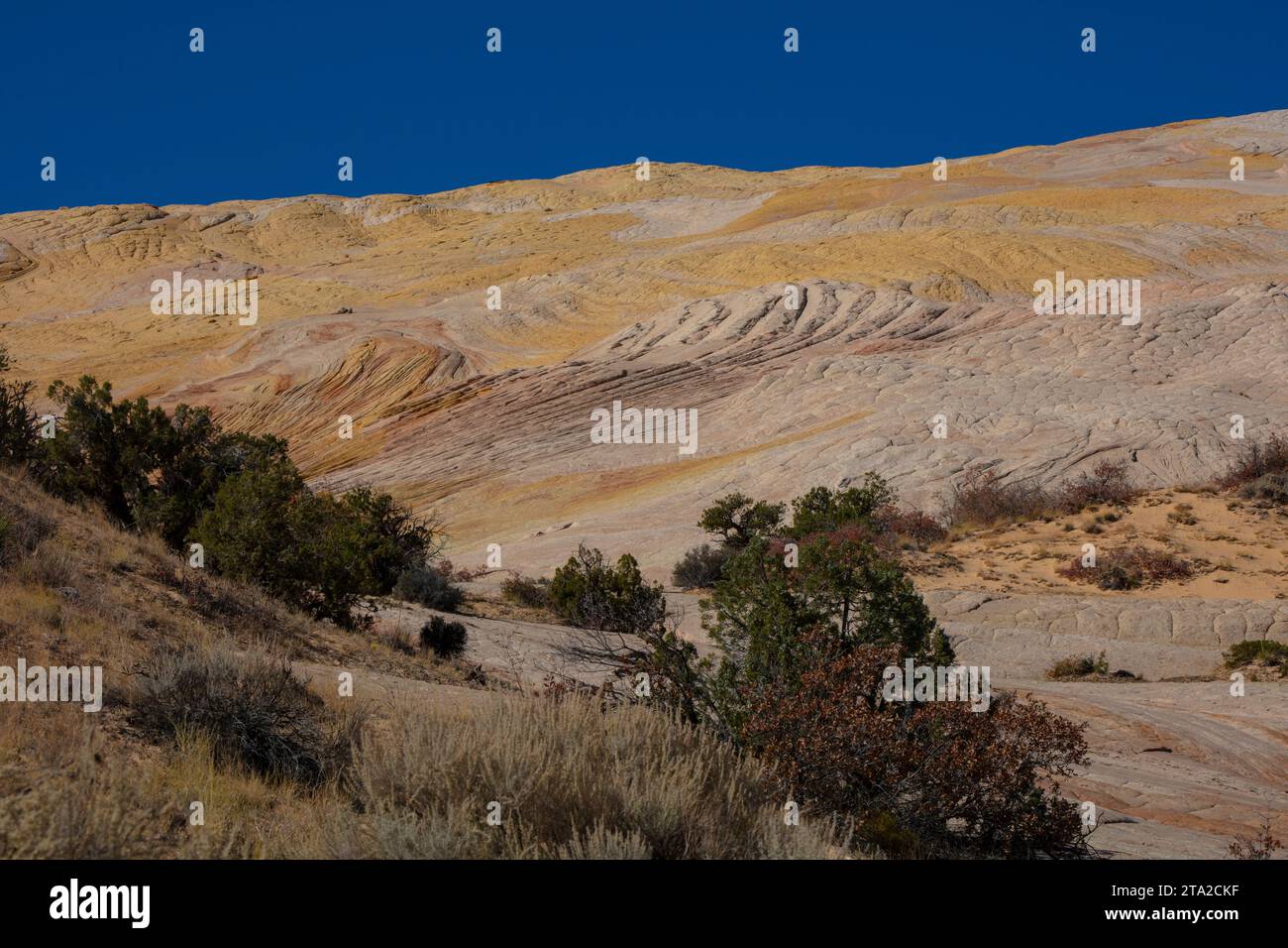 Monocline part of the kaibab uplift hires stock photography and images