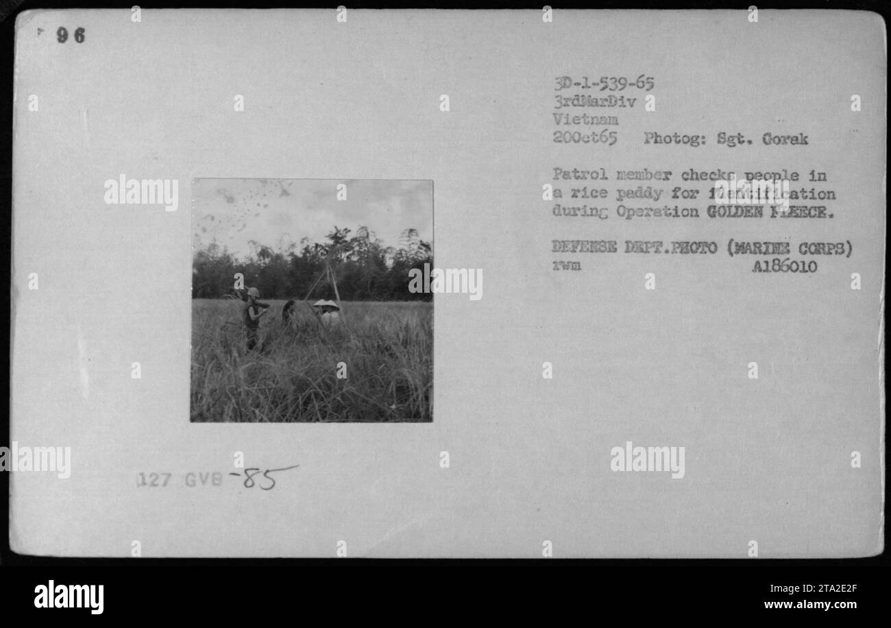 Marines on patrol in Vietnam during Operation GOLDEN FLEECE. A patrol member is seen checking the identification of individuals in a rice paddy. This image was taken on October 20, 1965, by Sgt. Gorak, a photographer for the Defense Department. It is part of the collection documenting American military activities during the Vietnam War. Stock Photo