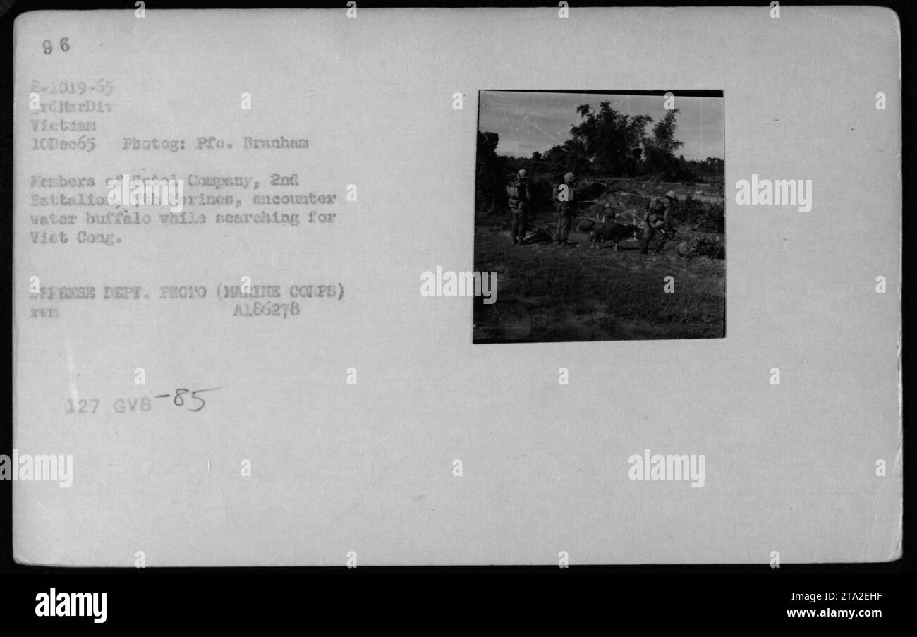 Vietnam war album Black and White Stock Photos & Images - Alamy