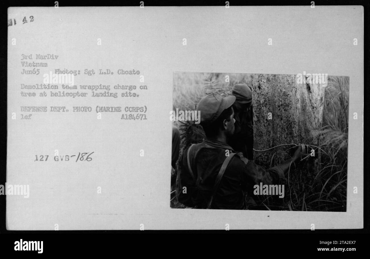 A demolition team for the 3rd Marine Division in Vietnam is shown