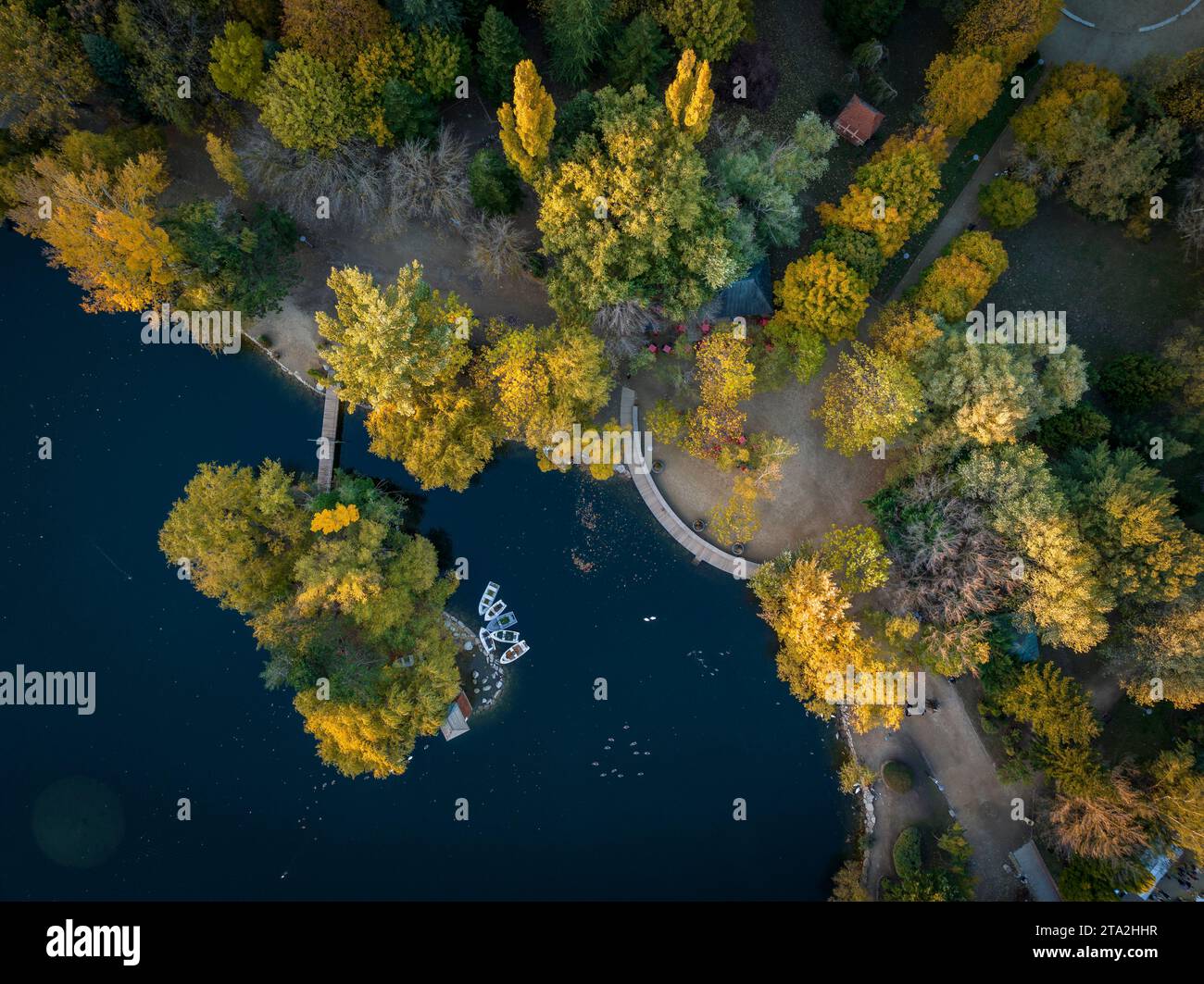 Barco del bosque hi-res stock photography and images - Alamy
