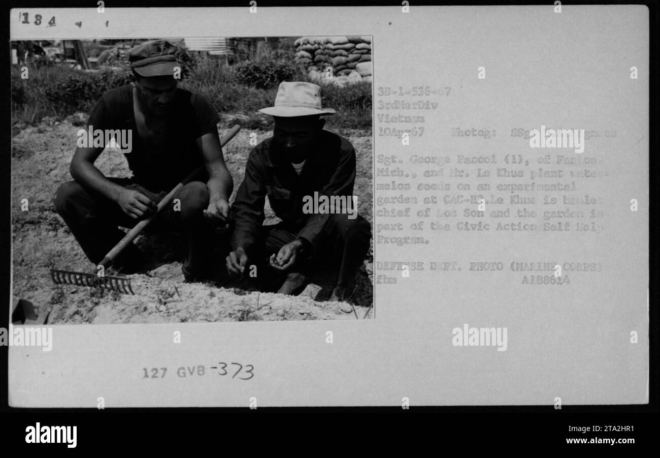 Caption: Vietnamese civilian, Sgt. George Faccol from Forton, Michigan, and local Vietnamese, Mr. Le Khue, participating in the Civic Action Self Help Program, watermelon plantation at CAC-H2 in Vietnam on April 10, 1967. The program focuses on aiding local communities. (Photograph by SSgt H.A. Fegn.ou, sourced from Marine Corps - Defense Department) Stock Photo