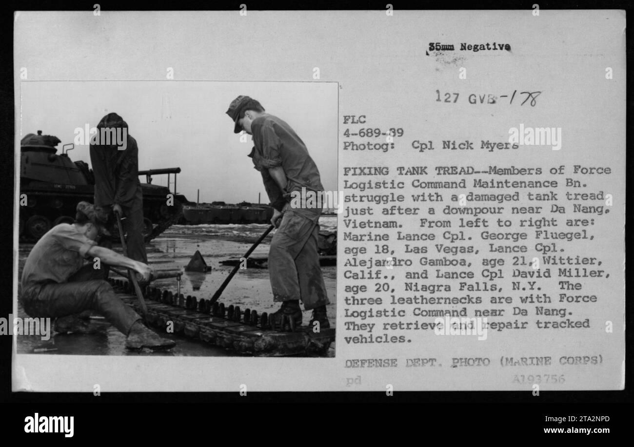 fluegel hires stock photography and images Alamy