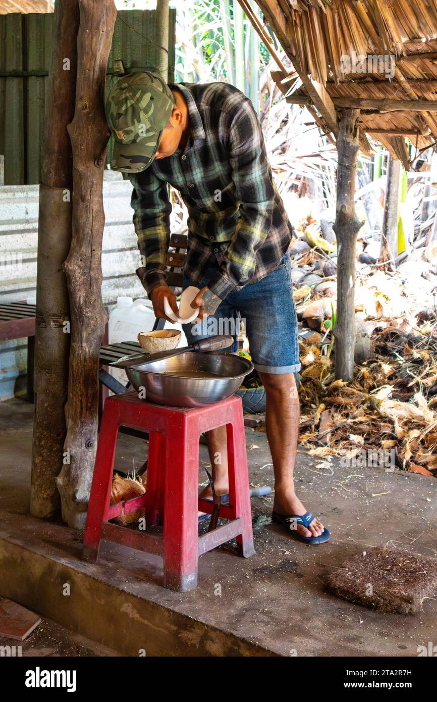 Cutting open coconuts. Vietnam Stock Photo