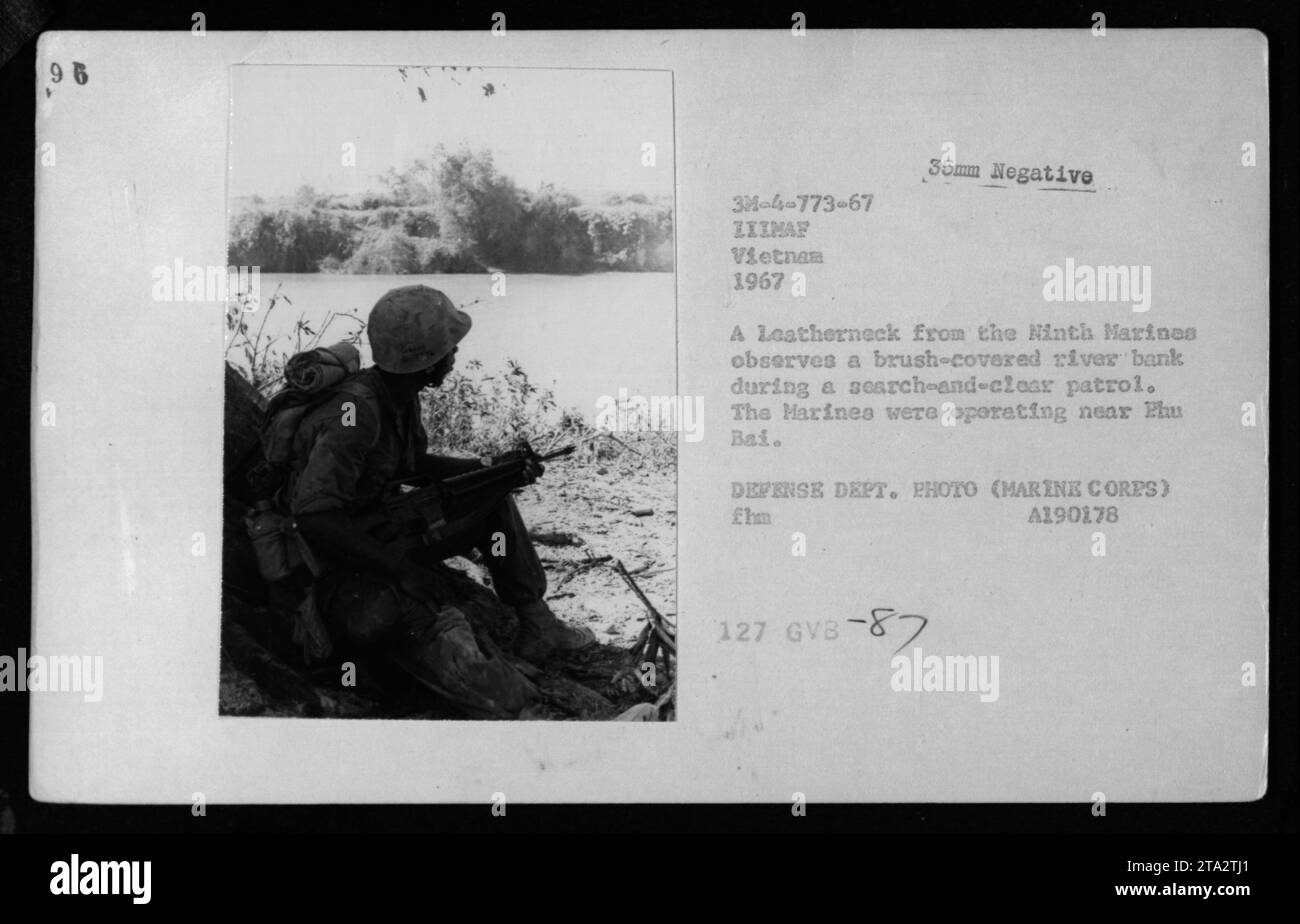 A Leatherneck from the Ninth Marines observes a brush-covered river ...