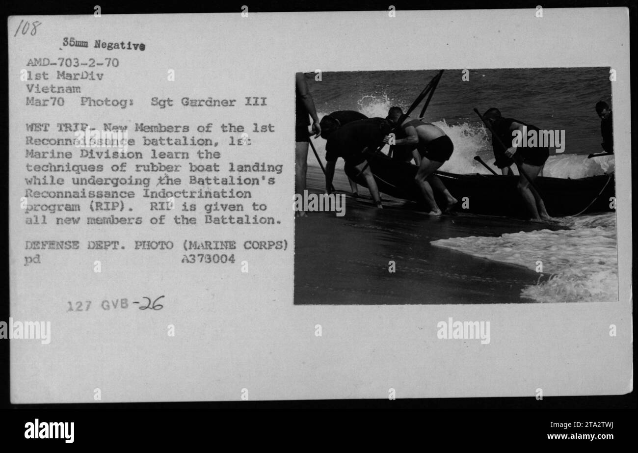 New members of the 1st Reconnaissance Battalion, 1st Marine Division