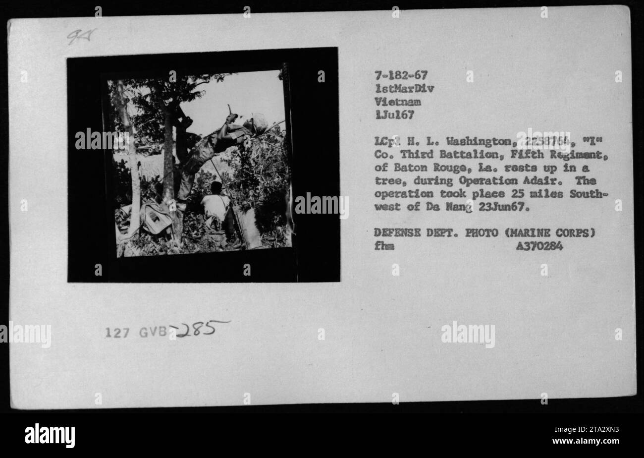Operation Baton Rouge Lance Corporal H. L. Washington from Baton Rouge rests in a tree during ...