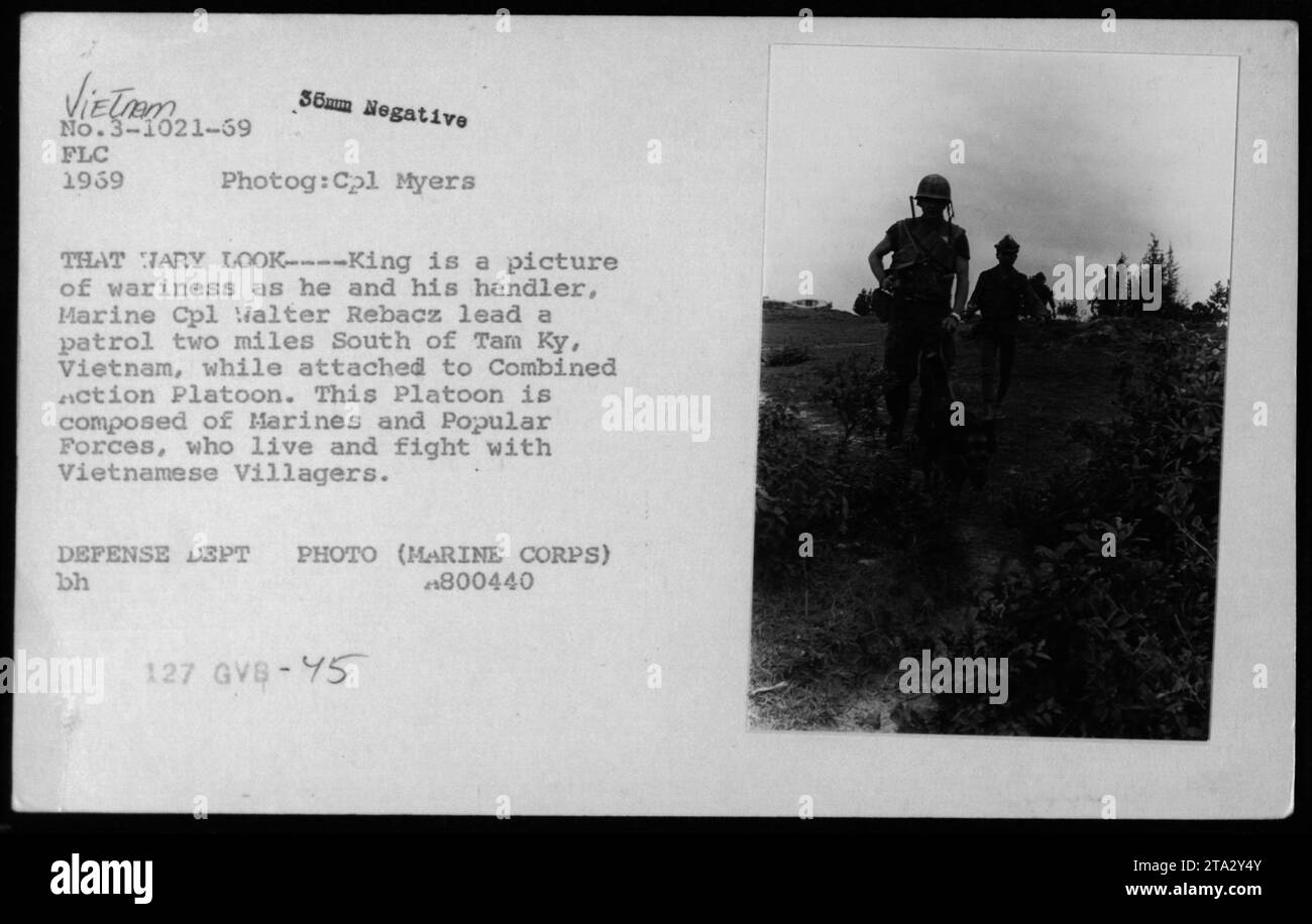 Marine Cpl Walter Rebacz and his dog King look alert as they lead a patrol south of Tam Ky, Vietnam in 1969. They are part of a Combined Action Platoon, which consists of Marines and Popular Forces working alongside Vietnamese villagers. This photograph captures the wariness and vigilance required during military activities in the Vietnam War. (Photo: Cpl Myers, Department of Defense, Marine Corps) Stock Photo