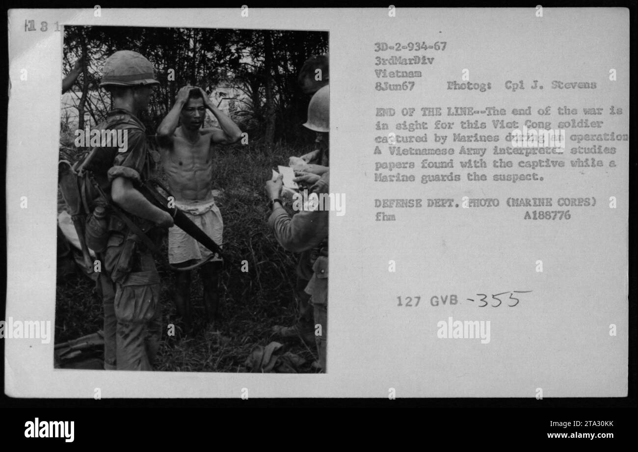 A captured Viet Cong soldier is being guarded by a Marine during an operation in Vietnam on June 8th, 1967. A Vietnamese Army interpreter can be seen studying papers found with the suspect. This image captures a moment of progress for the US forces as the end of the war approaches. Defense Department photo (Marine Corps). Stock Photo